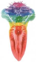 Aura Soma spalvos clip image002