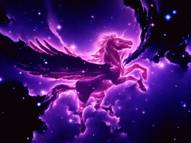 magenta 1