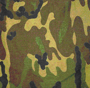 olive green 1