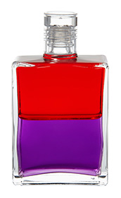 b19