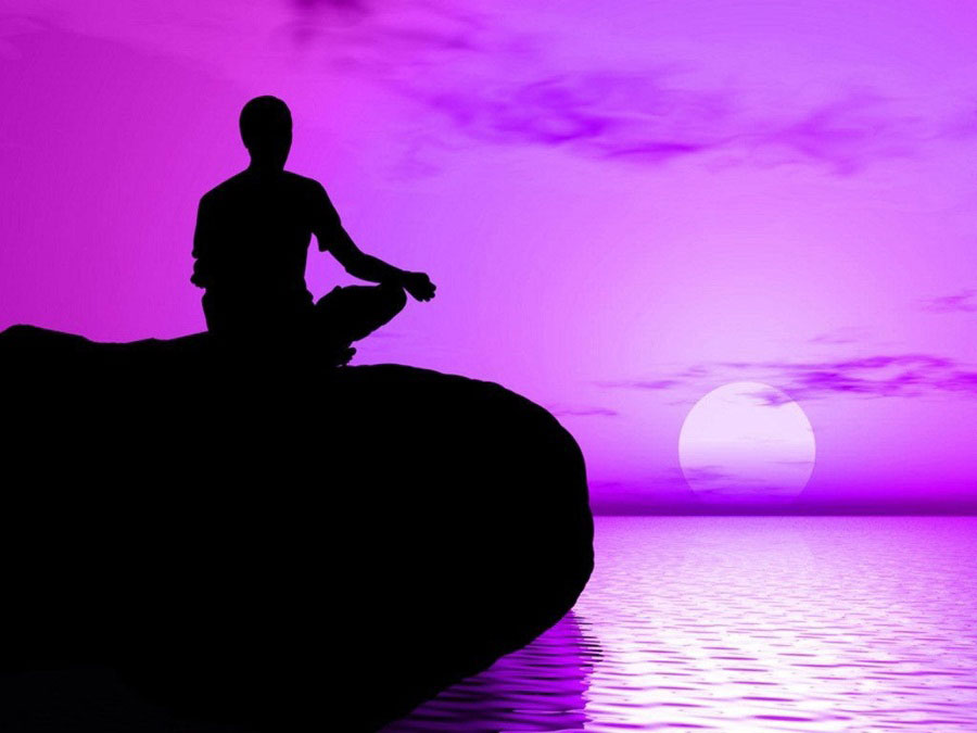 purple 1