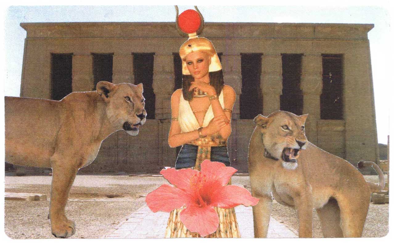 egyptdd f1